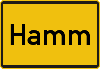 Transporter Ankauf Hamm