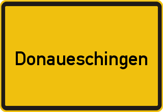 Transporter Ankauf Donaueschingen