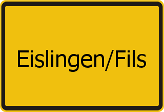 Transporter Ankauf Eislingen - Fils
