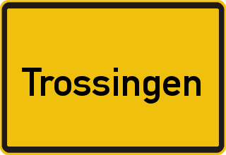 Unfallwagen Ankauf Trossingen