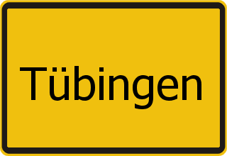 Transporter Ankauf Tübingen