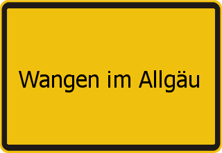 Transporter Ankauf Wangen im Allgäu