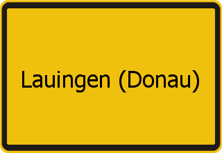 Transporter Ankauf Lauingen (Donau)