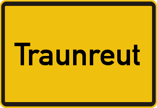 Transporter Ankauf Traunreut