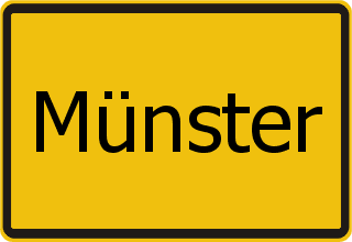 Unfallwagen Ankauf Münster - Hessen