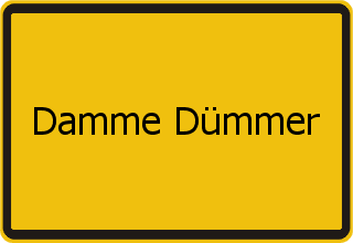 Transporter Ankauf Damme Dümmer