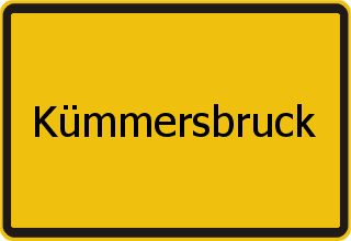 Transporter Ankauf Kümmersbruck